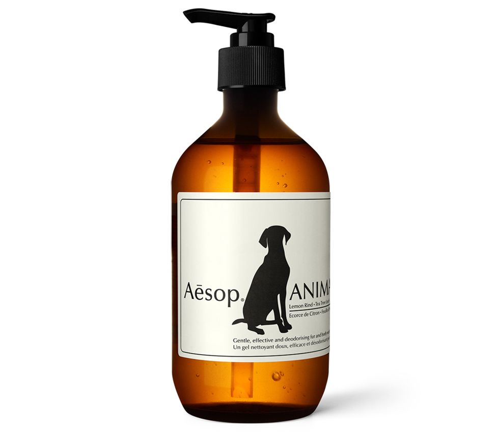Product, Bottle, Liquid, Soap dispenser, Hair care, Personal care, Shampoo, 