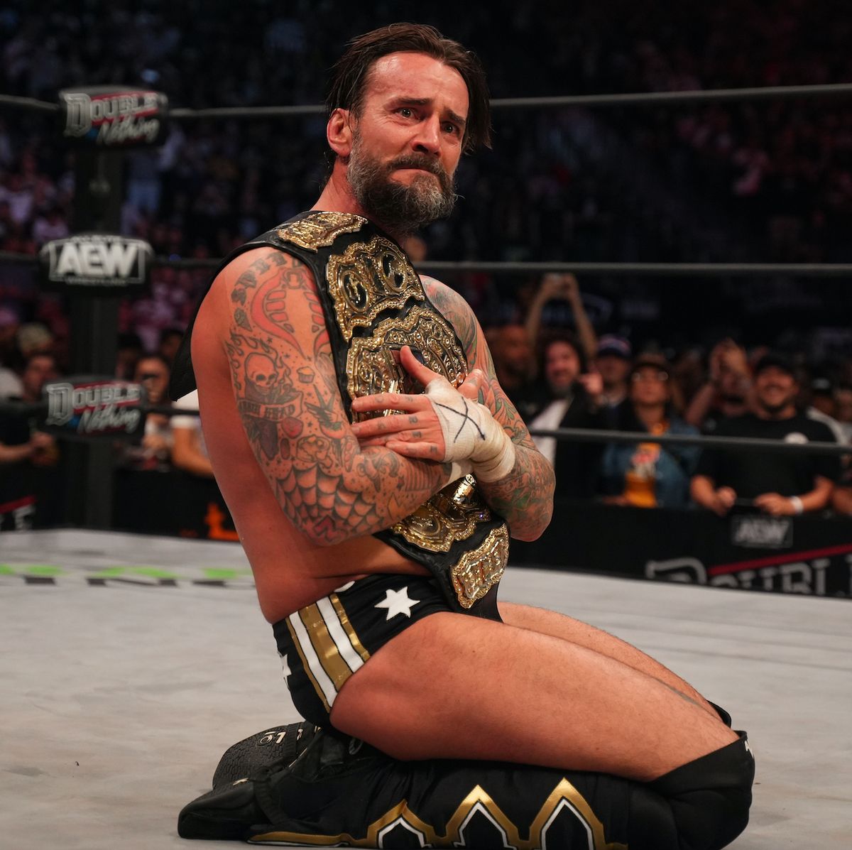 Should CM Punk return to the WWE? Have your say