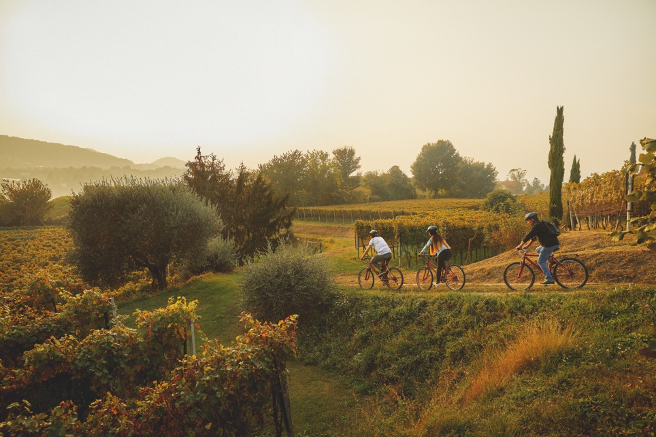 Een Bike  Winetour in Ticino