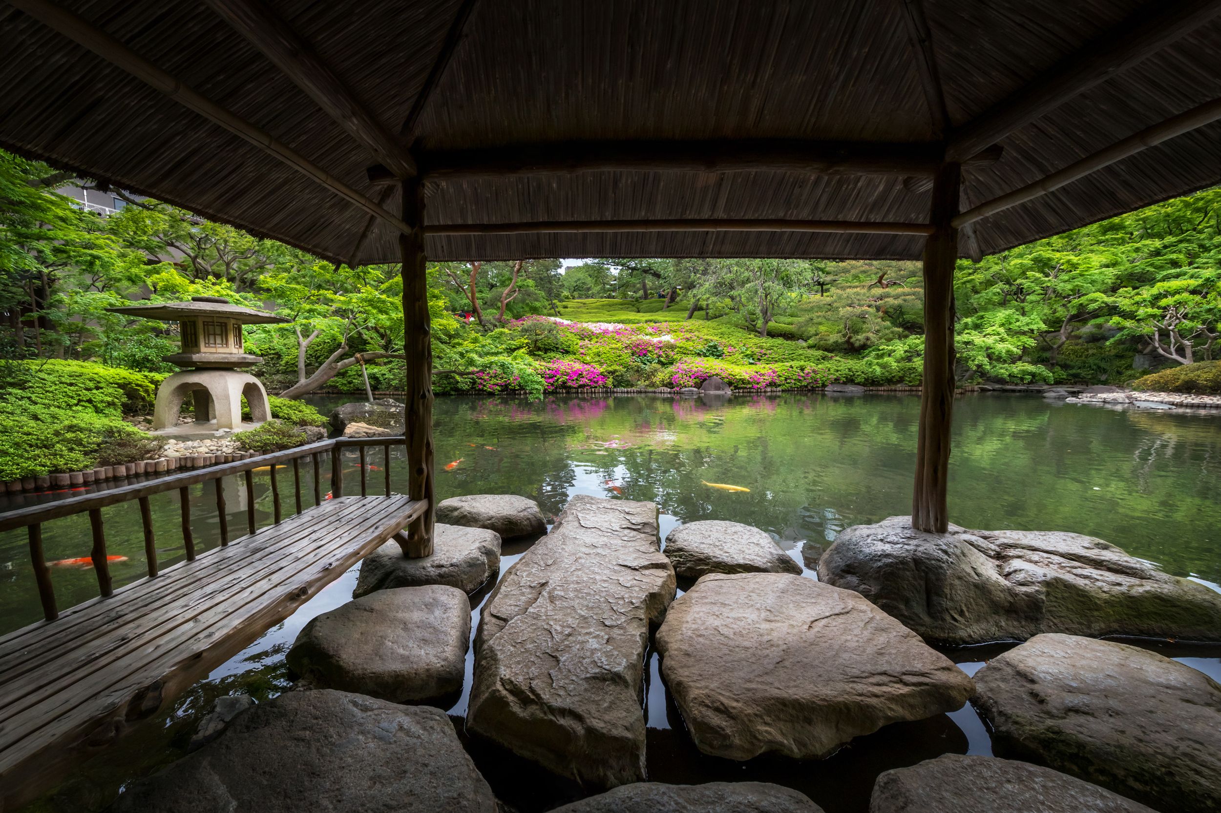 庭園好きが訪れるべき、心に残る美しい日本庭園25 | ELLE DECOR [エル・デコ]