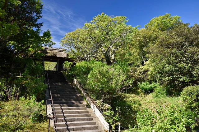 白洲信哉,  白洲式, 見る眼の育て方, 古信楽, 青山二郎, MIHO MUSEUM, 白洲正子, 彼岸, 大神神社大鳥居, 三輪山, 朝日, お彼岸, 奈良, 畝傍山, 二上山, 三輪山, 三輪山の朝日, 二上山の落陽, 東慶寺, 鎌倉