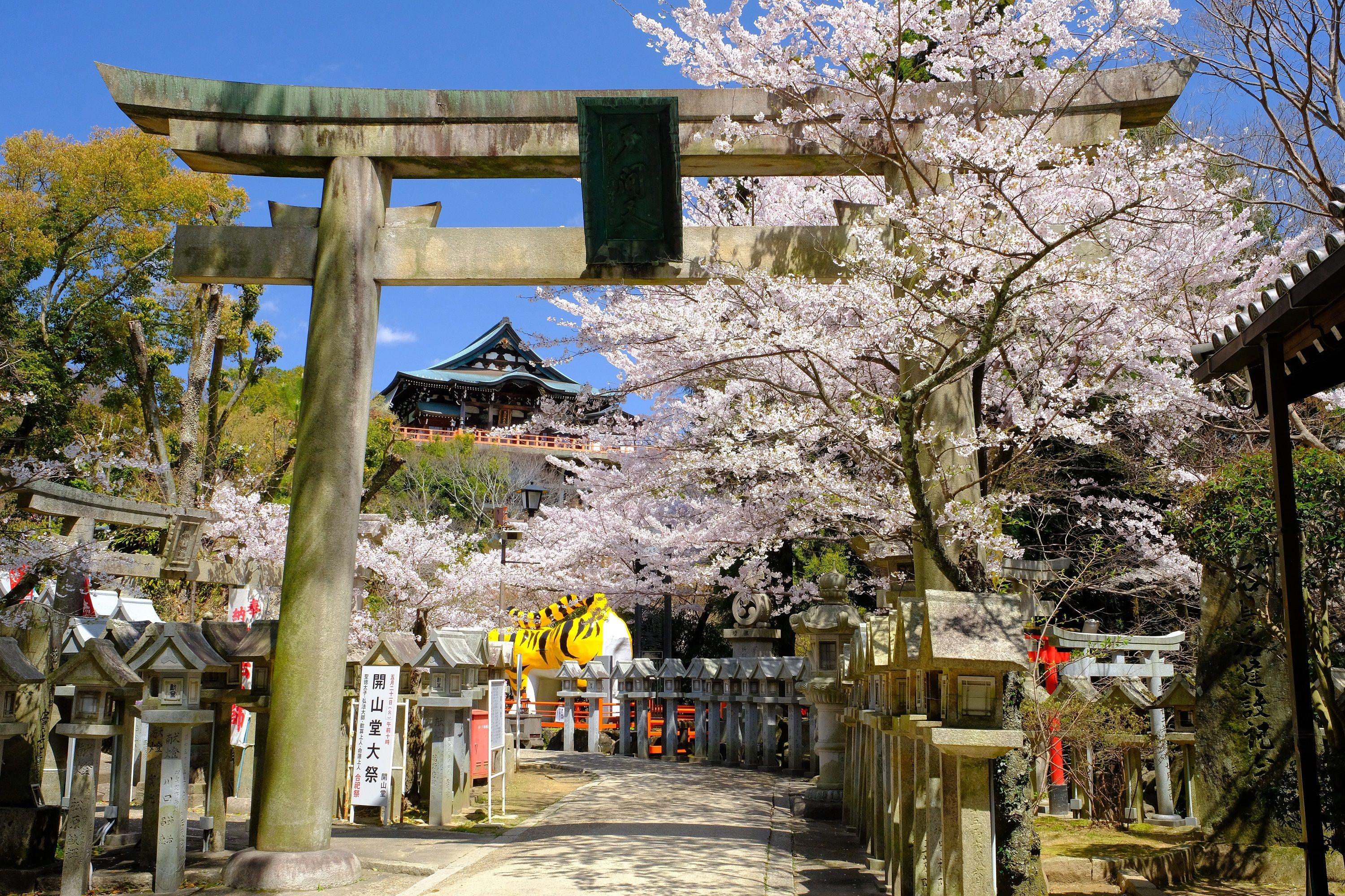 最強開運日が到来! 水晶玉子が伝授する、幸せを呼ぶTo Do 最強開運日が到来! 水晶玉子が伝授する、幸せを呼ぶTo Do