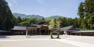 彌彦神社の夏越の祓え