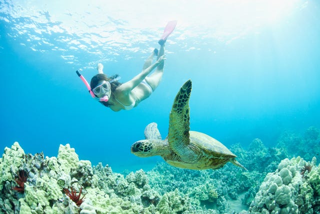 calorieën verbranden met snorkelen