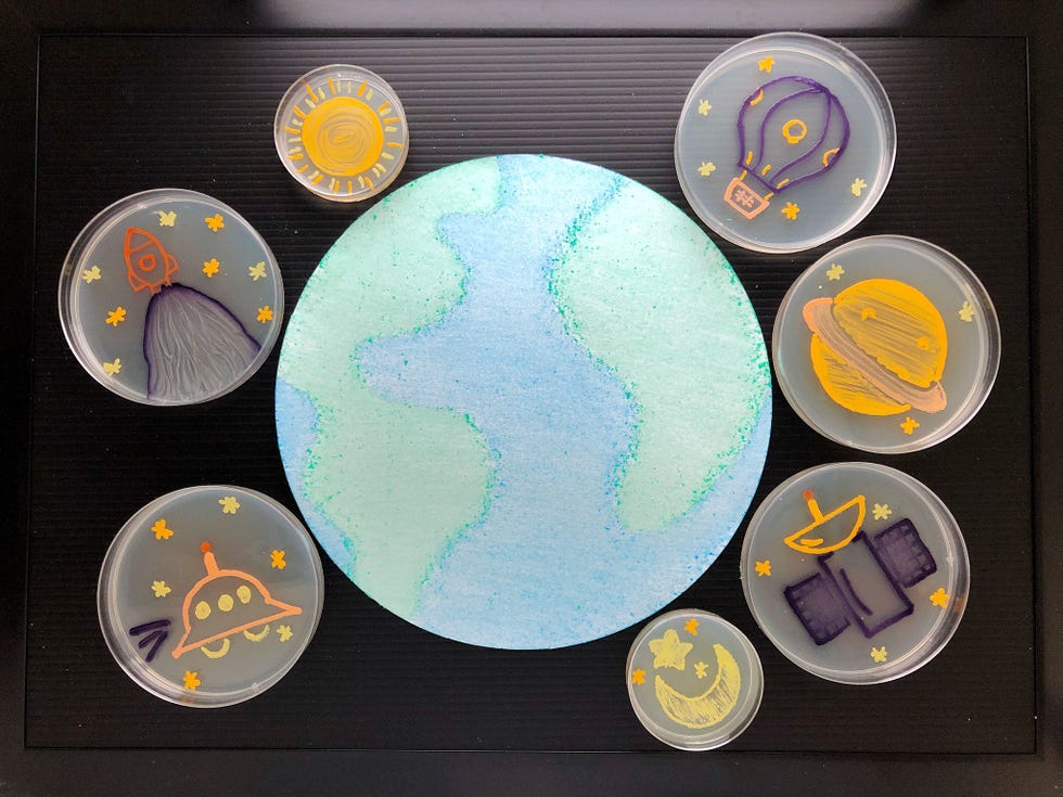 Zeven kunstwerkjes op agar beelden objecten rond de aarde uit in een inzending met de titel Het MicroUniversum In de wereld van de microbiologie zijn veel aspecten onbekend en onzeker schreven de in Hongkong wonende kunstenaars Hoi Lam Tiffany Tai en Tsz Yuen Fong Zoals we zoveel mogelijk kennis en waarheden proberen te vergaren over een macrouniversum rond de aarde dat we niet kunnen bereiken zo proberen we dat ook met een microuniversum om ons heen dat we niet kunnen zien