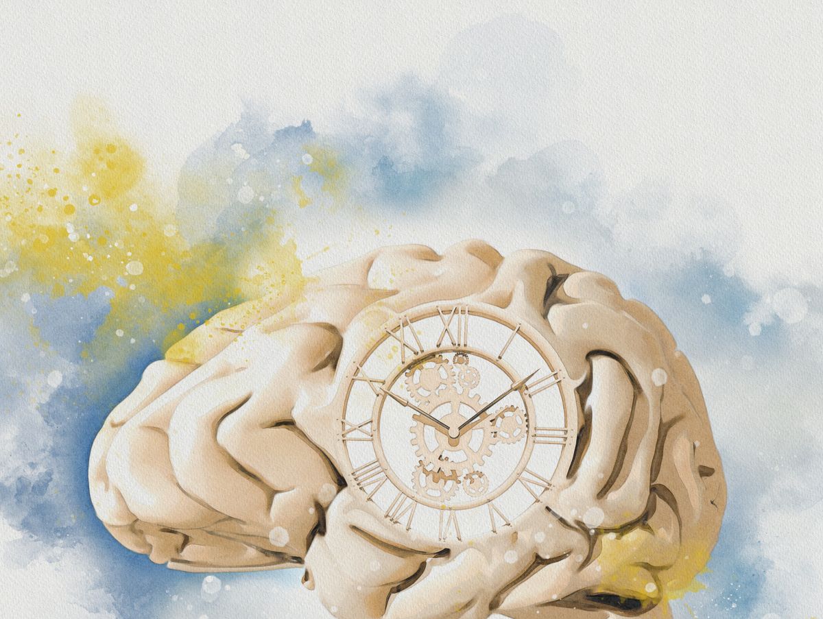 Scientists Found a Hidden Switch in Your Brain That Could Reverse Memory Loss
