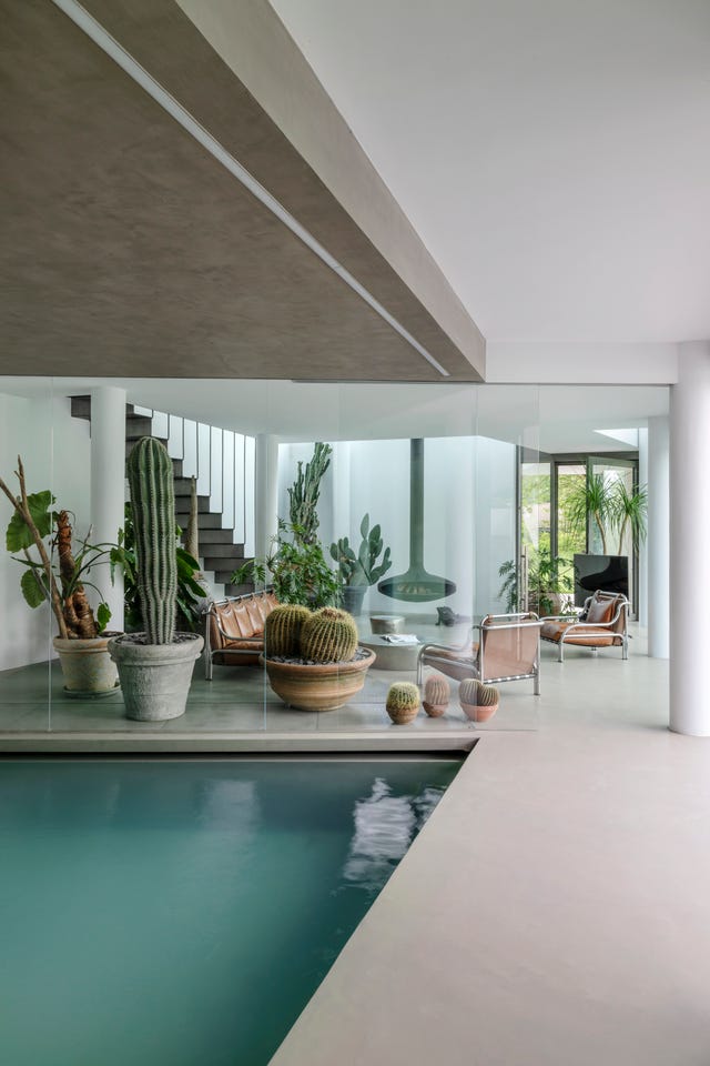 indoor pool currounded by towering cacti and stringa chairs by gae aulenti for poltronova