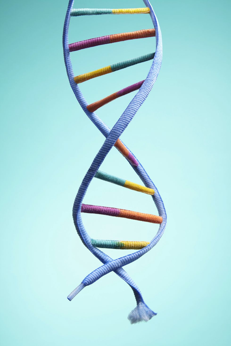 aging dna