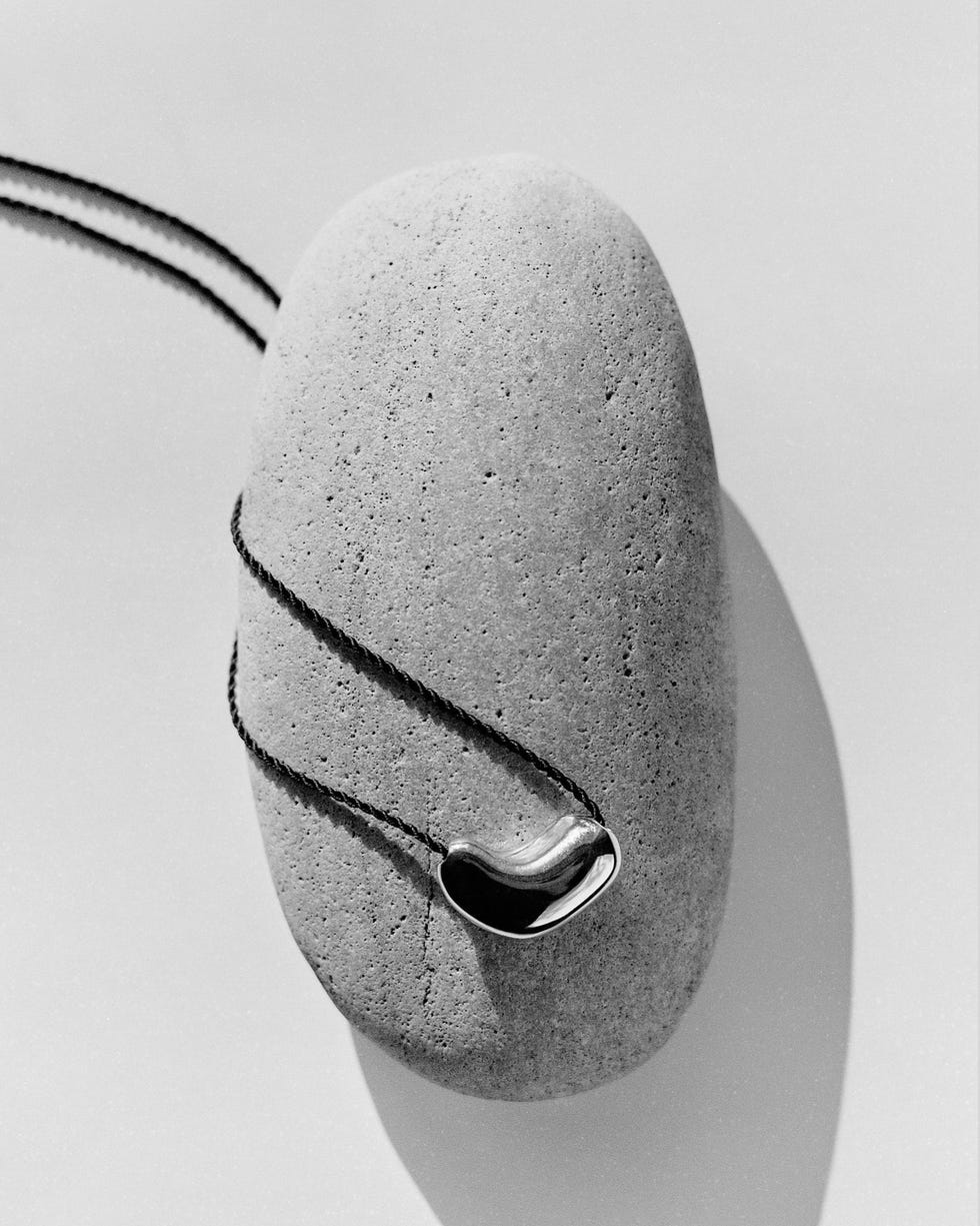 a smooth oval stone with a black cord and a shiny curved metallic pendant attached