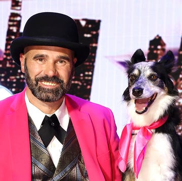 agt winner season 18 adrian stoica update 2025 agt winner season 18 adrian stoica update 2025