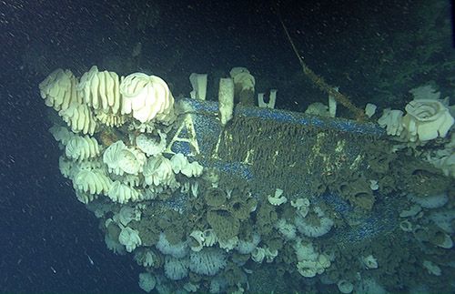 American Heritage Shipwreck santa monica
