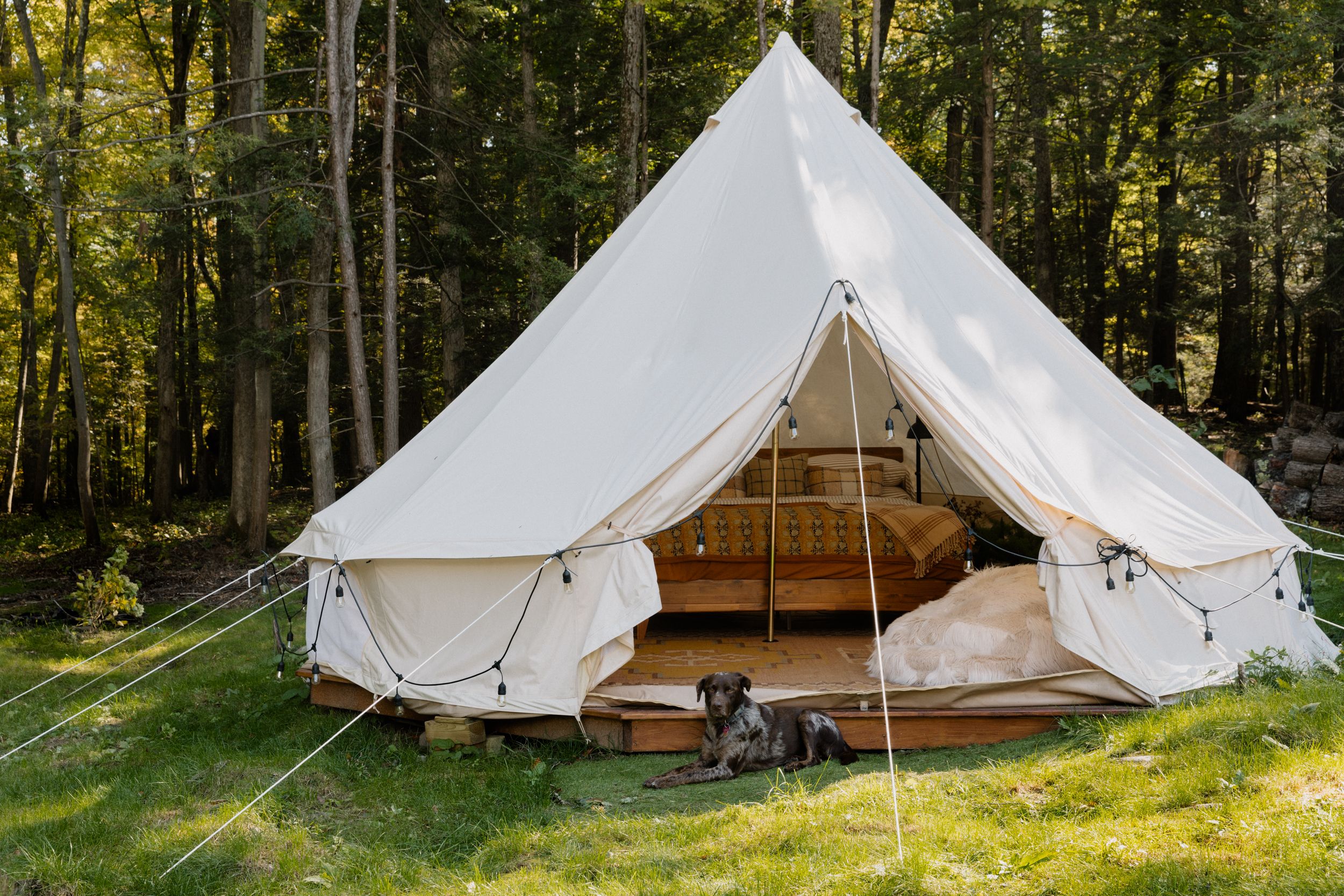 A Roomy Tent Camping Setup You'll Love