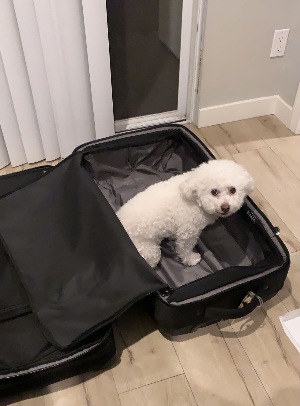 スーツケース, おすすめ, ブランド
