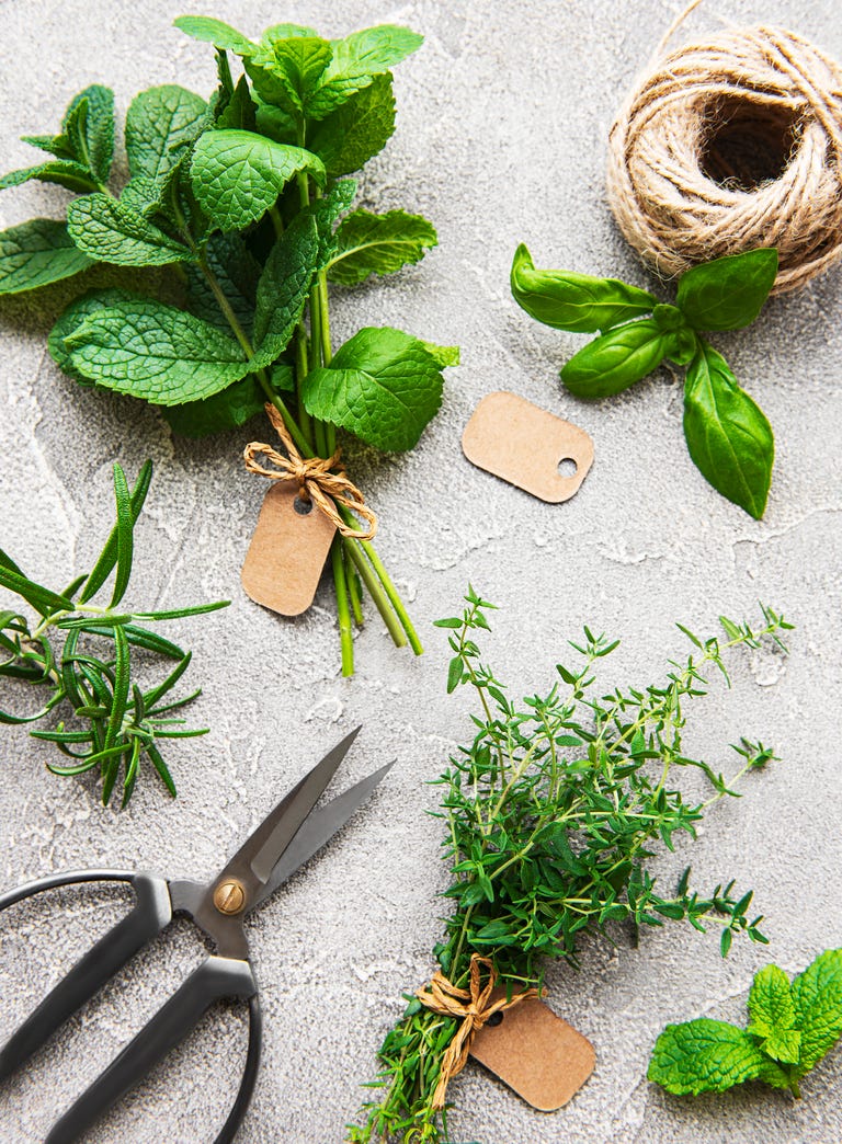 How to Dry Herbs from Your Garden