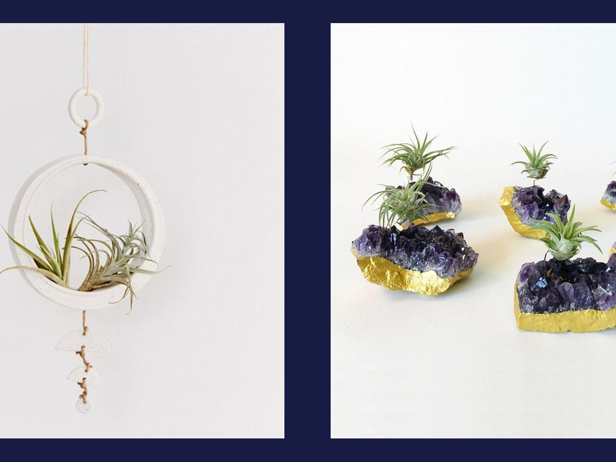 Air Plant Holder Unique Planters Indoor Wood Planter Wall Planter Indoor  Plant Stand Small Plant Gift Small House Plant 