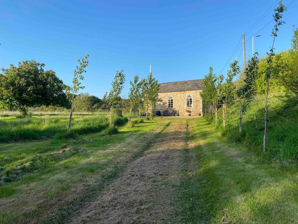 airbnb cornwall devon
