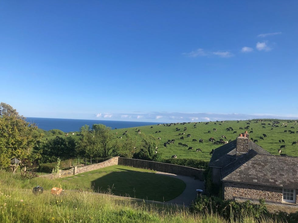 airbnb cornwall devon