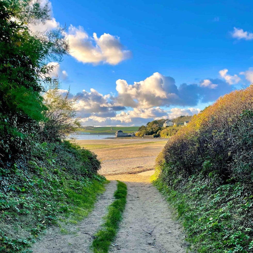 airbnb cornwall devon