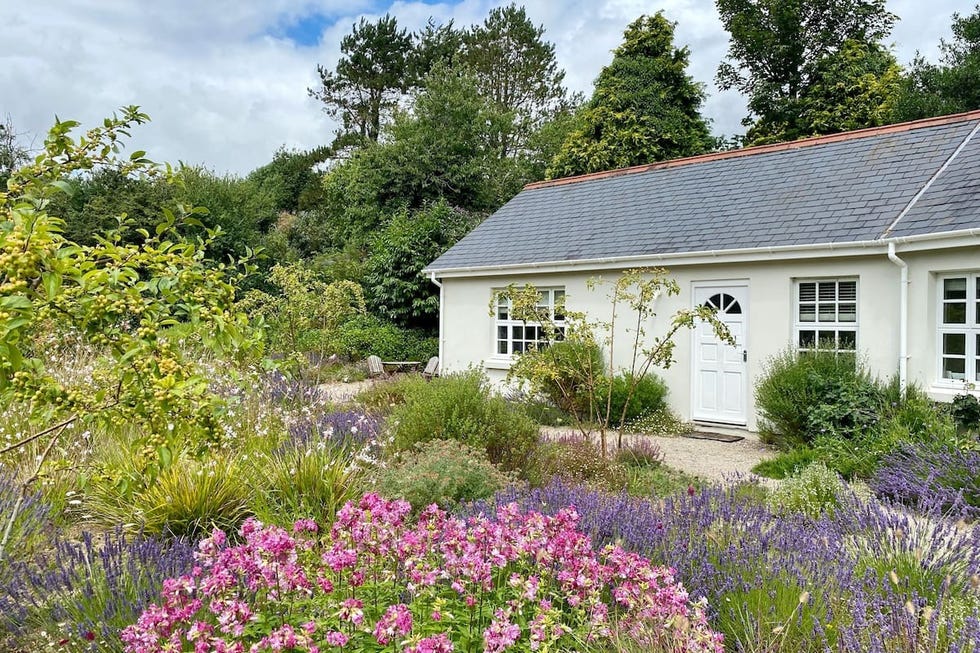 airbnb cornwall devon
