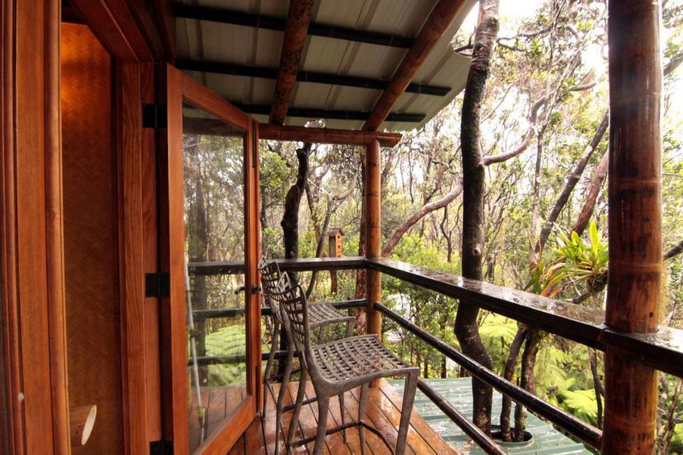 Casa en el árbol en el volcán de Kilauea en Hawaii