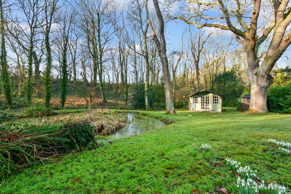 Enchanting Fairy Tale Cottage Now For Sale on The Isle of Wight