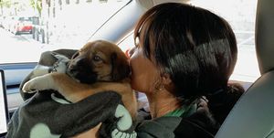 aitana y su perro olivia, en una foto de redes sociales