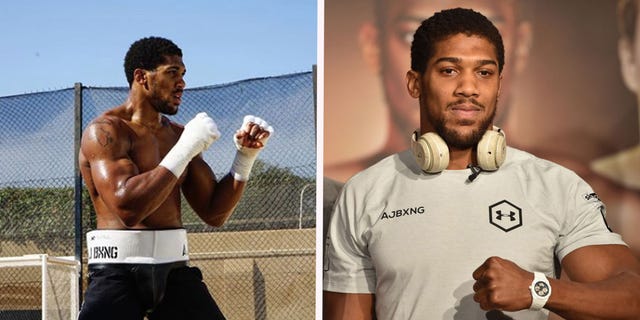 Anthony Joshua workout