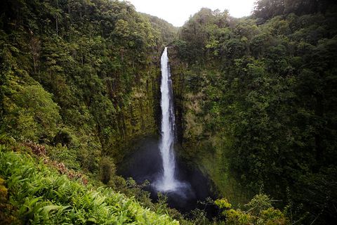 usa hawaii  kona  akaka falls