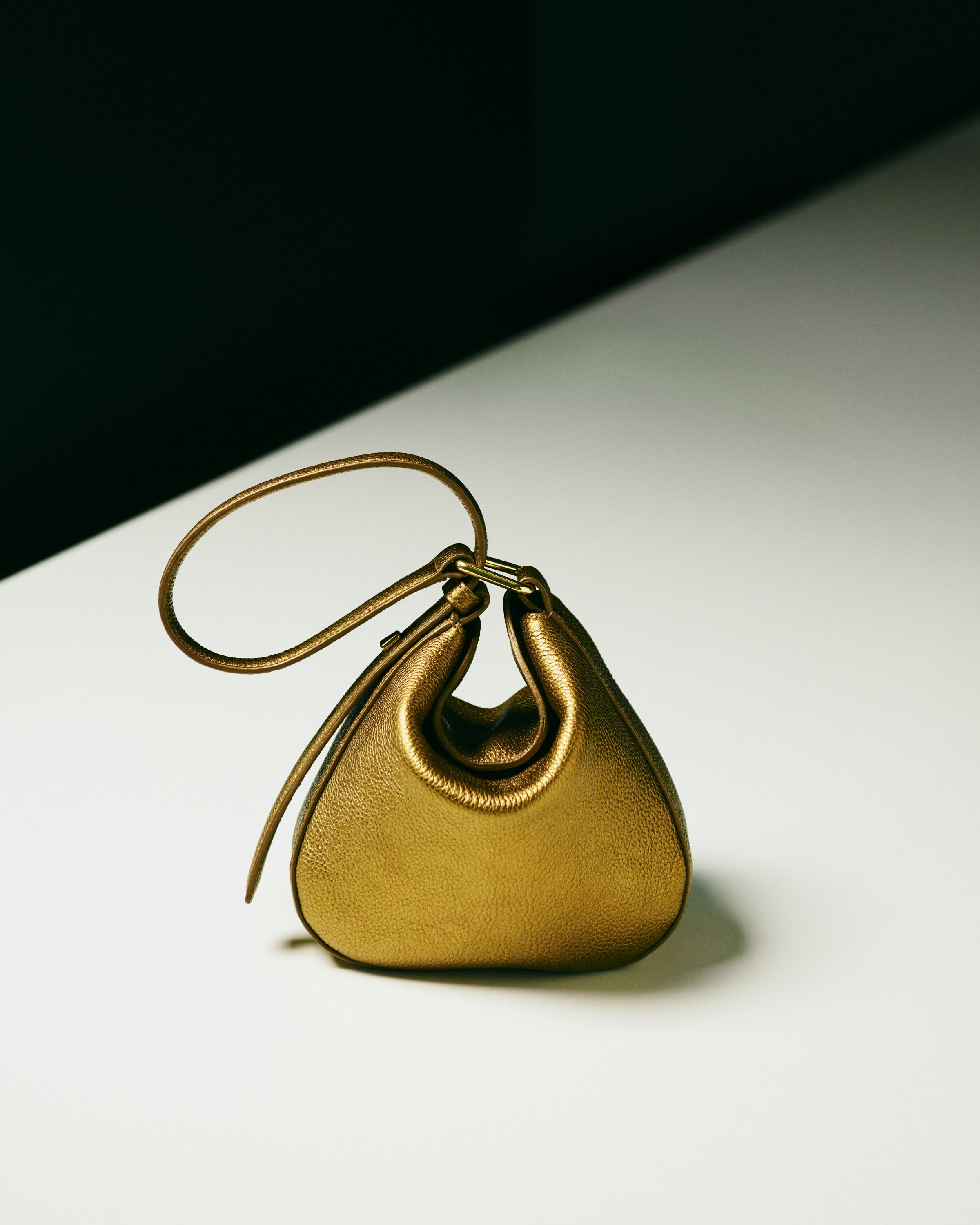 極美品★AKRIS★アヌーク★リトルデイ★バッグ★斜め掛け★本革 アクリスアヌーク リトルデイ
