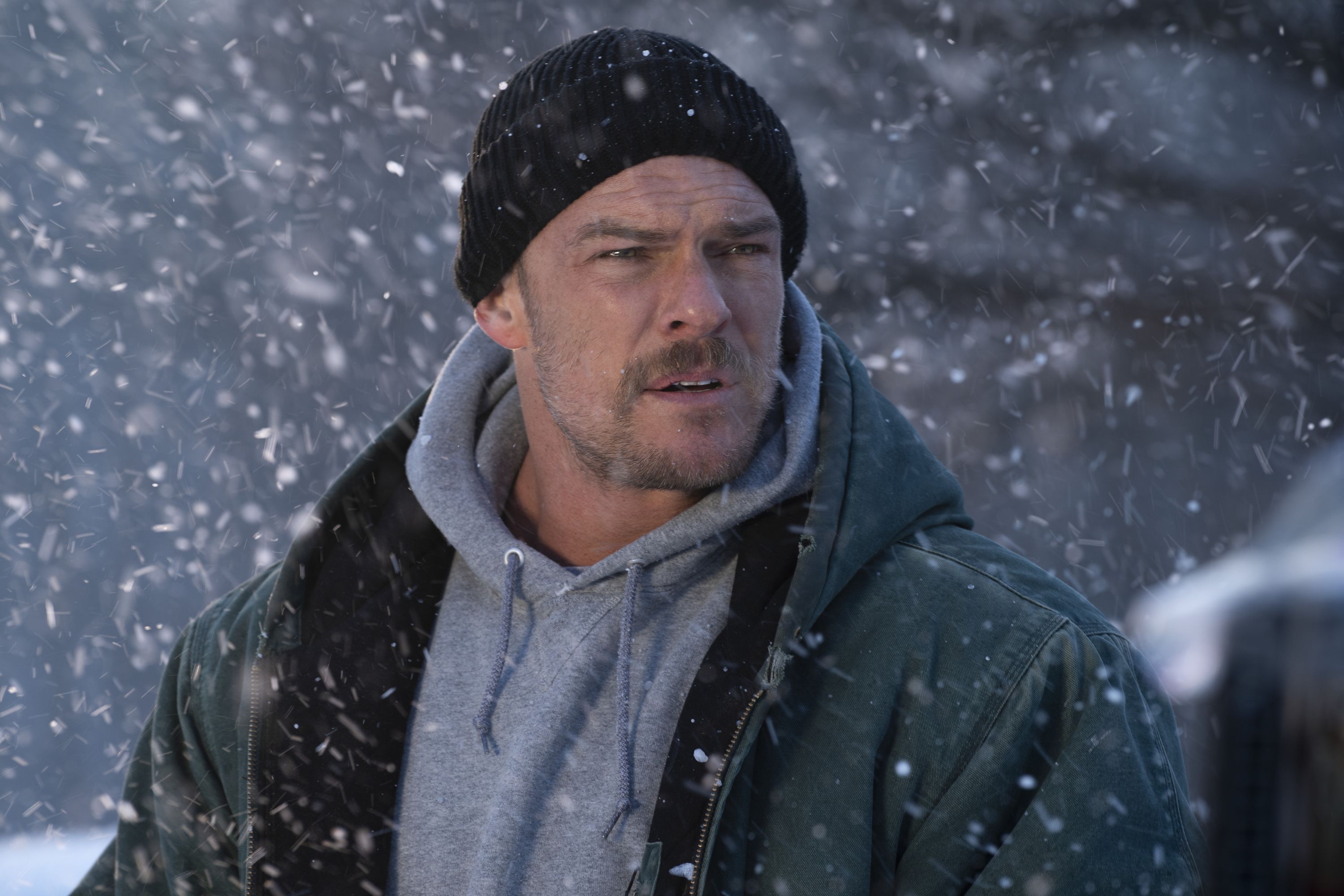 Alan Ritchson - Rotten Tomatoes