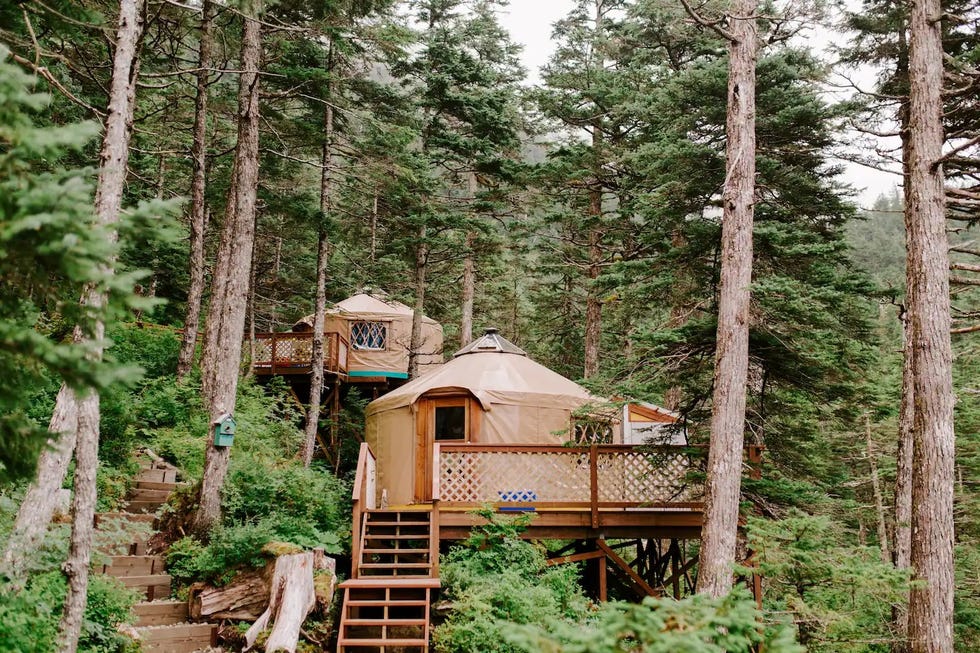 a couple of cabins in the woods