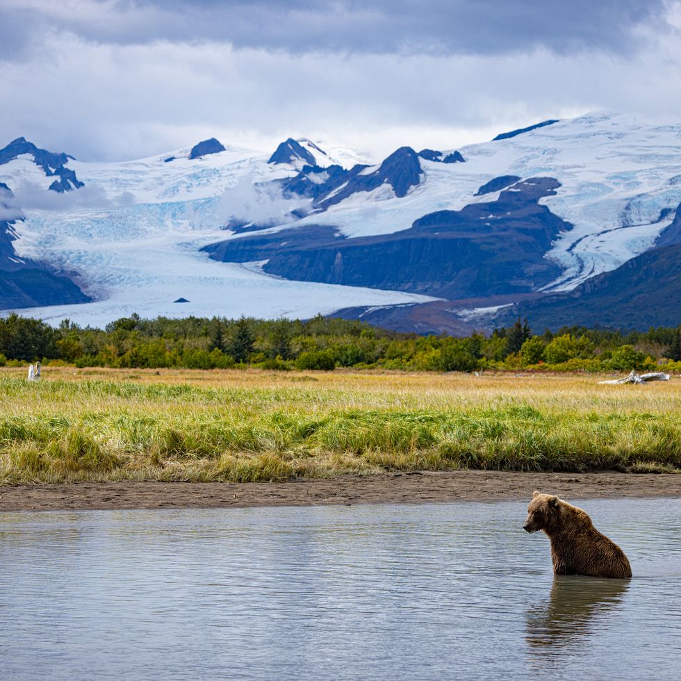 alaska fishing and bear viewing trip 2022