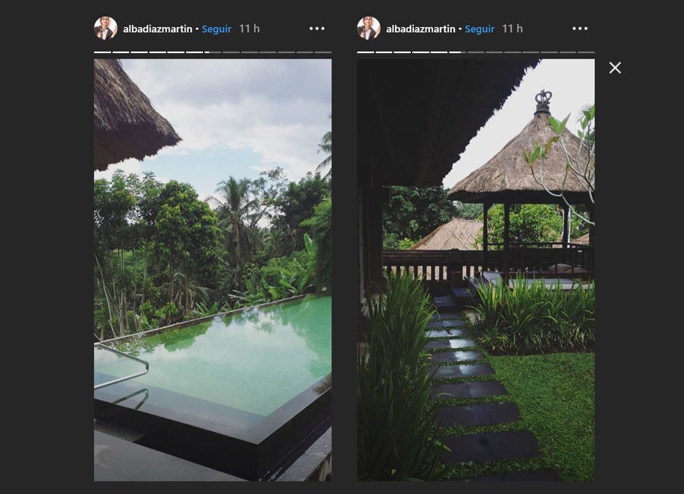 Screenshot, Tree, Room, Technology, Graphics software, Photography, Adaptation, Architecture, Multimedia software, Electronic device, 