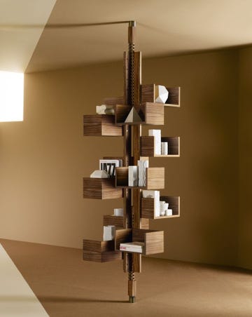 Albero bookshelf in walnut wood by Poltrona Frau