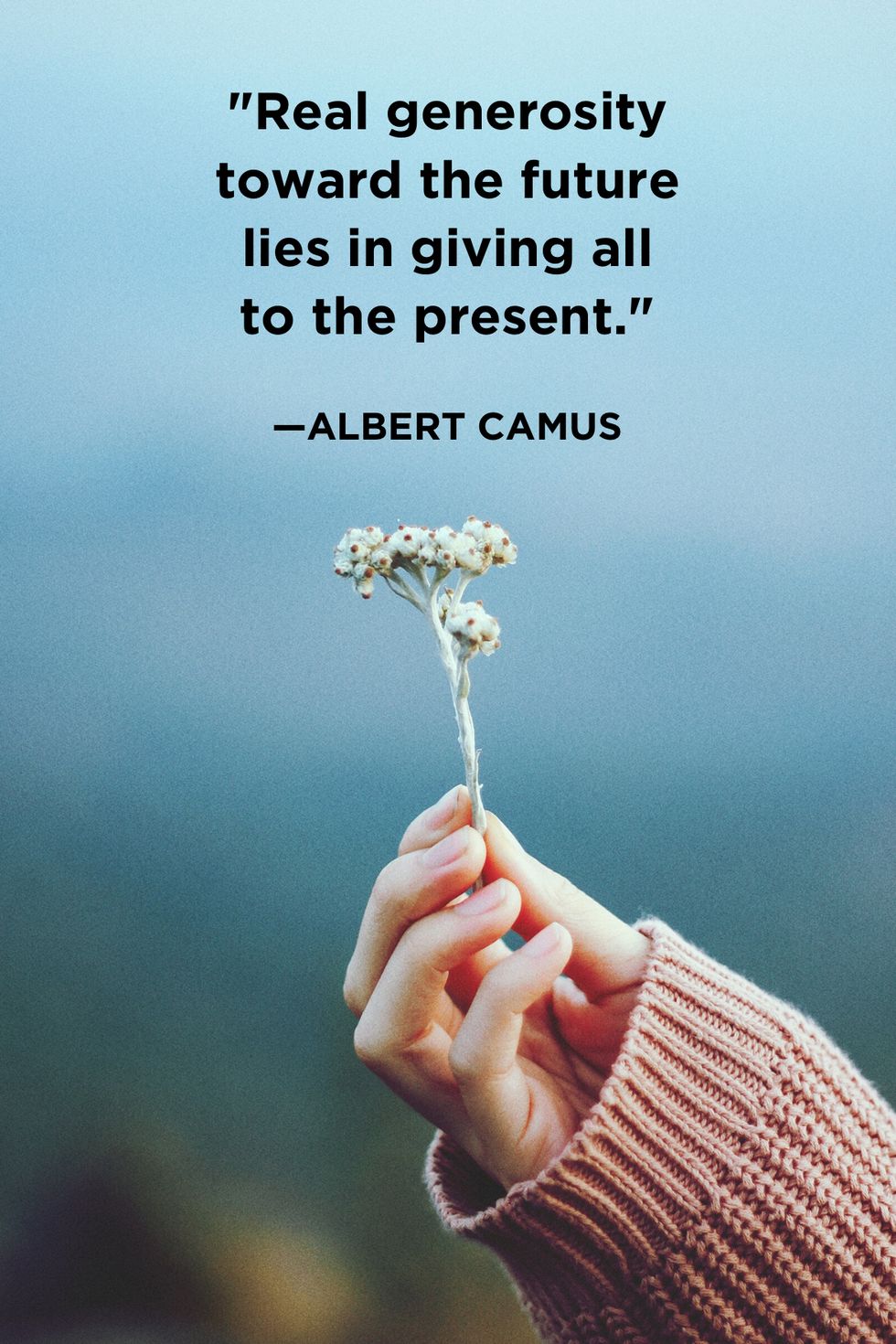 Albert Camus Giving Quotes