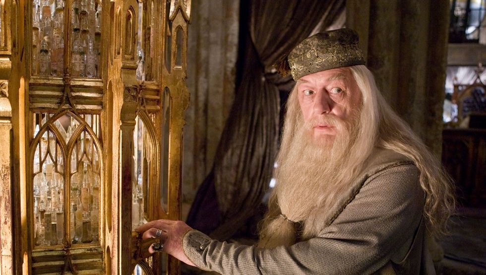 harry potter albus dumbledore pensadero