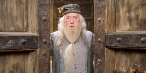 Dumbledore from Harry Potter
