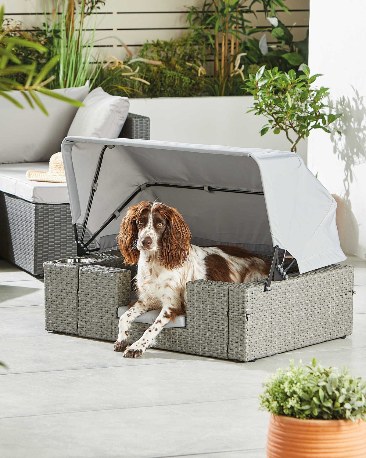 Aldi dog sun lounger best sale