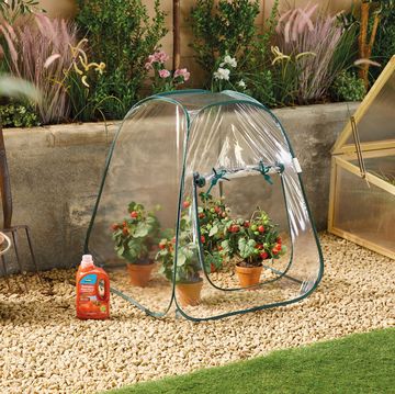 aldi launches garden range in time for spring