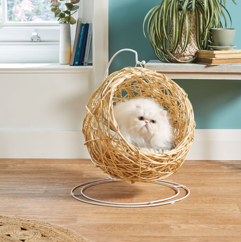 aldi is selling a hanging egg chair for pets — aldi offers