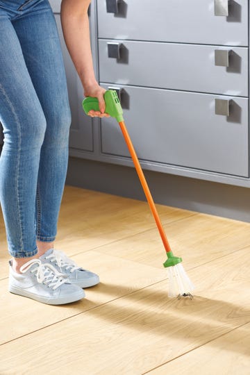 aldi launches spider catcher for spider season 2022