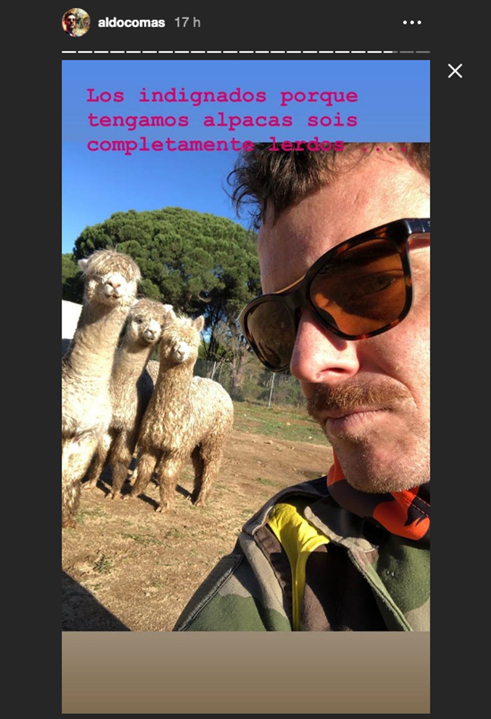 Aldo Comas, Macarena Gómez, Macarena Gómez recibe duras críticas por tener como mascota una llama,  Macarena Gómez criticada por su nueva mascota, Macarena Gómez y el regalo que le ha hecho su marido que no ha gustado a sus fans,  Macarena Gómez hace arder las redes con su última excentricidad