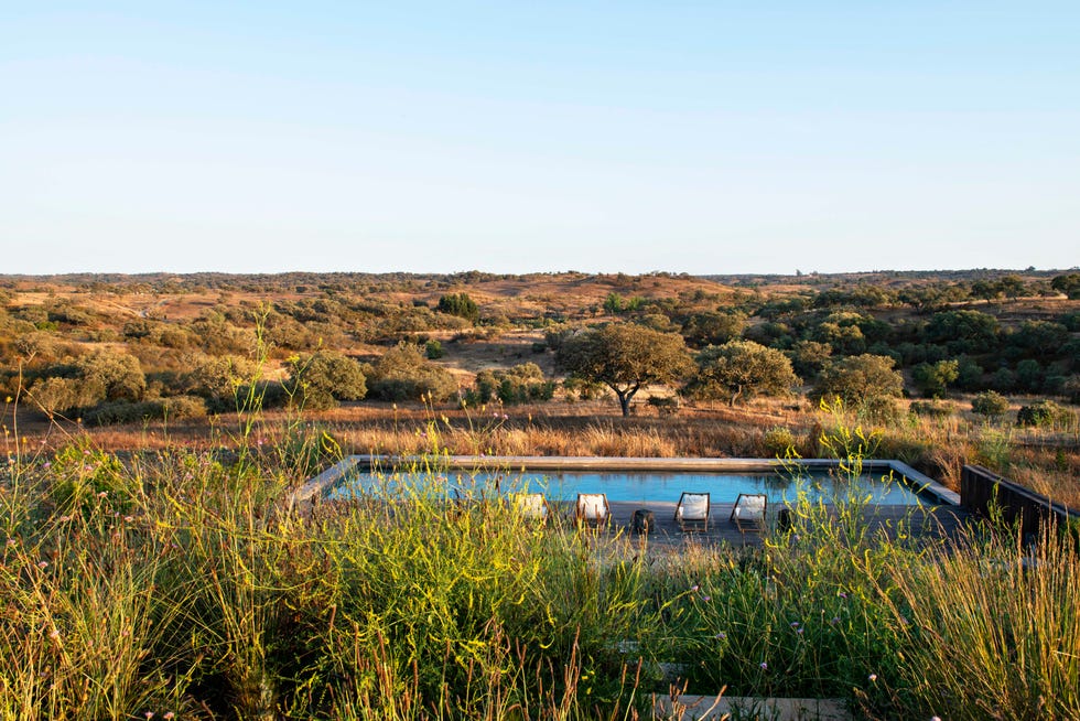 alentejo portugal house by gocalo bonniz pool