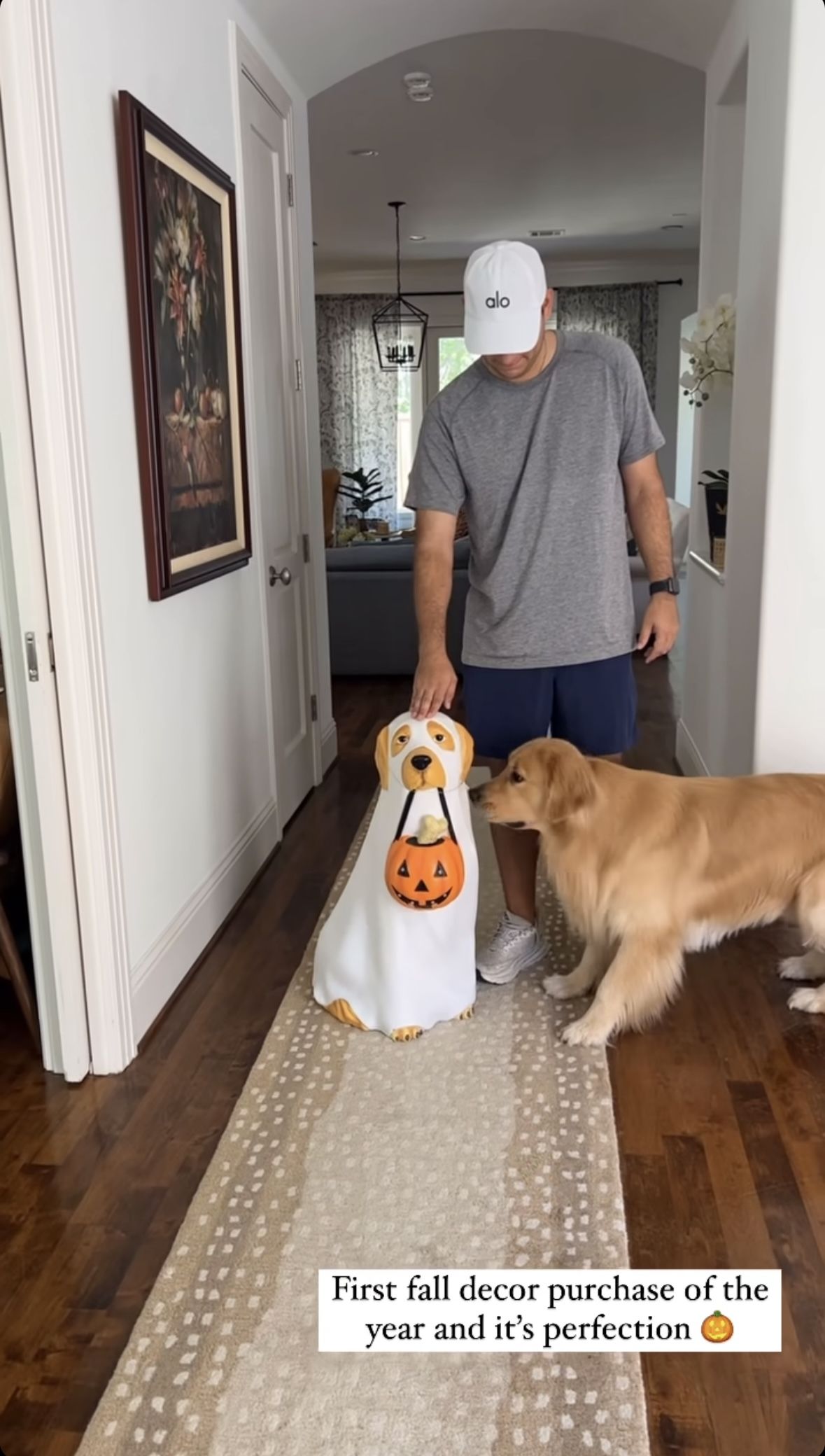 Golden Retriever Halloween Decoration: Spook-tacular Ideas and Tips