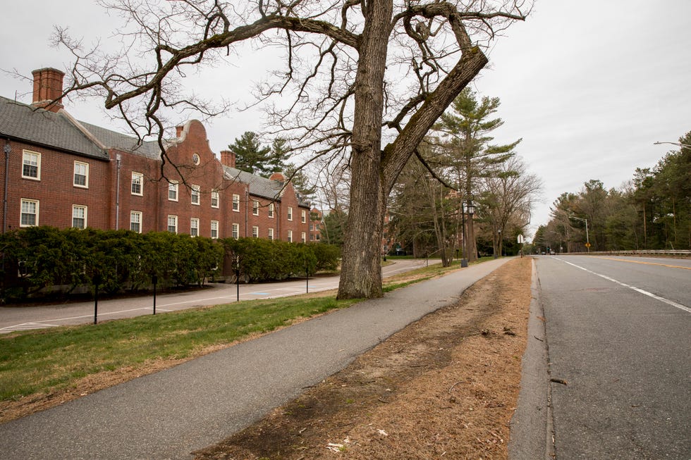 an empty street on marathon monday, patriots day on april 20, 2020 in boston, massachusetts