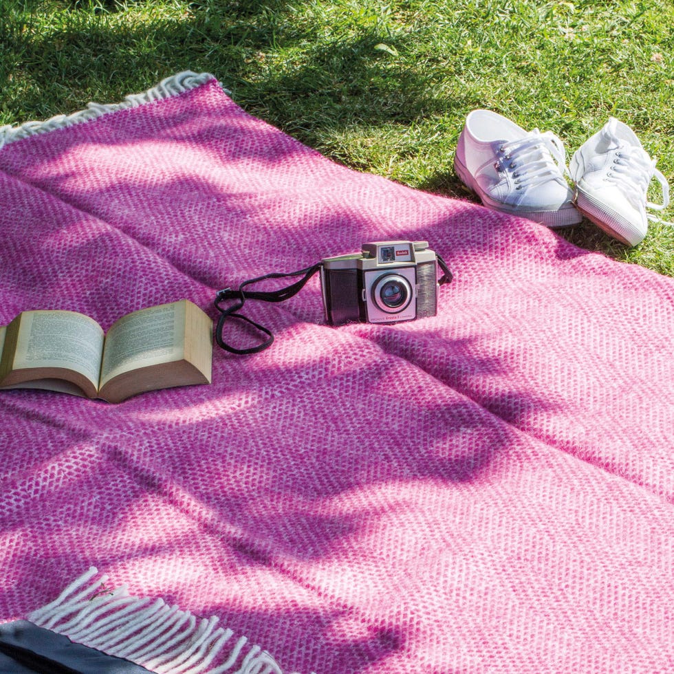 Picnic aesthetic: las 12 cosas que no deben faltar en tu próximo día de  campo