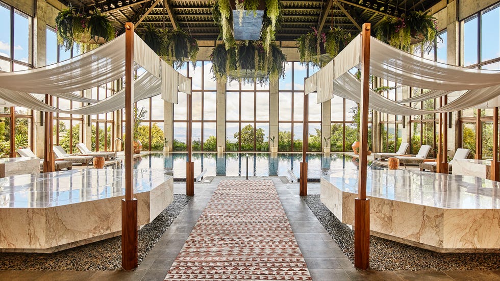 indoor pool with plants hanging above