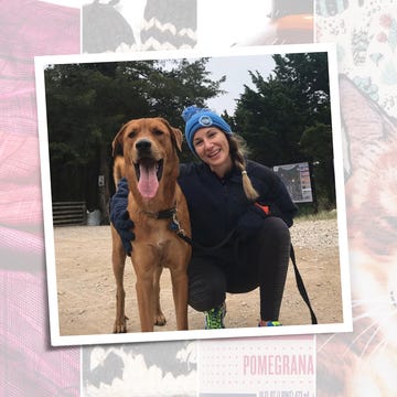 Dog, Vertebrate, Mammal, Canidae, Dog breed, Bloodhound, Carnivore, Hound, Coonhound, Vizsla, Dog, Vertebrate, Mammal, Canidae, Dog breed, Bloodhound, Carnivore, Hound, Coonhound, Vizsla,
