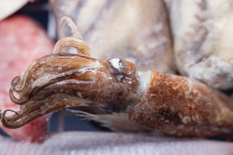 pescados, mariscos, alimentos de espana