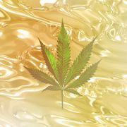it’s time cannabinoids really entered the conversation